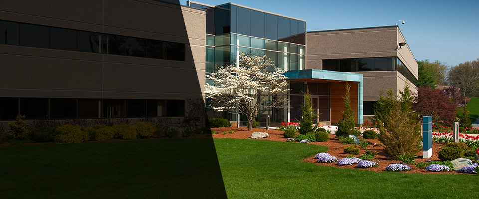 Moreno Valley Landscapers