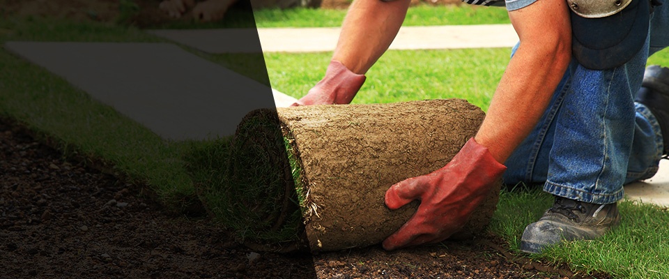 Moreno Valley Landscapers